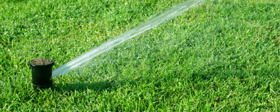Forsta Irrigation